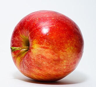 Berkeley County, WV: The Apple Industry and Agricultural Heritage

